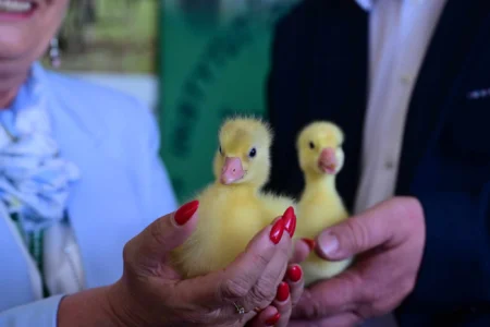 Uczestnicy Krajowych Dni Pola