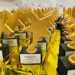 Nagrody w konkursie filmowych dla środowiskowych domów samopomocy
