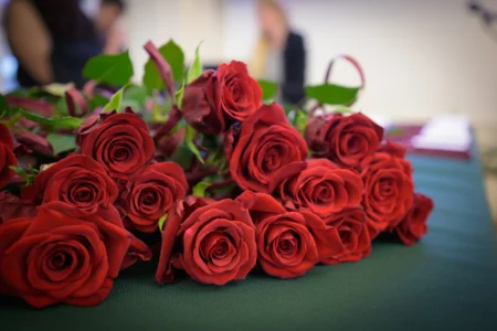 Uczestnicy uroczystości z okazji Narodowego Święta Niepodległości