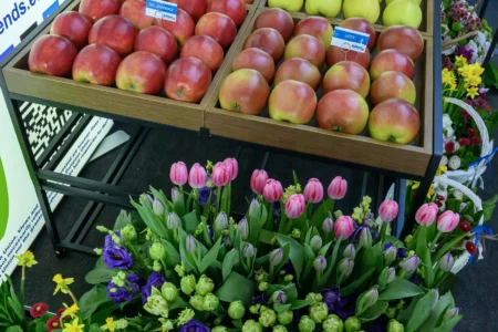Jedno ze stoisk - z jabłkami.