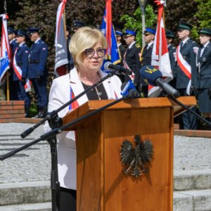 Zdjęcie przedstawia uczestników obchodów Narodowego Dnia Zwycięstwa