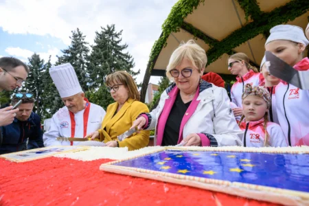 Uczestnicy Pikniku Europejskiego w Rzeszowie