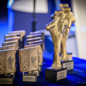 Zdjęcie przedstawia statuetki Podkarpackiej Nagrody Samorządowej