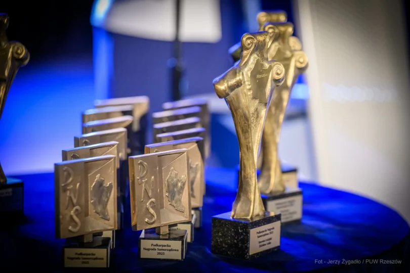 Zdjęcie przedstawia statuetki Podkarpackiej Nagrody Samorządowej