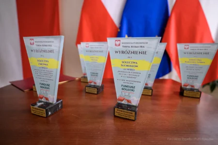 Uczestnicy gali Fundusz Sołecki