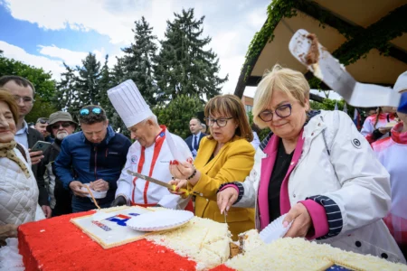 Uczestnicy Pikniku Europejskiego w Rzeszowie