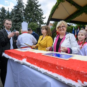 Uczestnicy Pikniku Europejskiego w Rzeszowie
