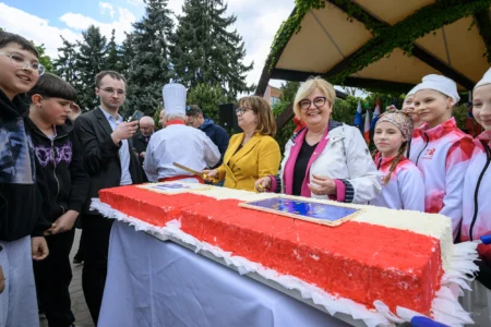 Uczestnicy Pikniku Europejskiego w Rzeszowie