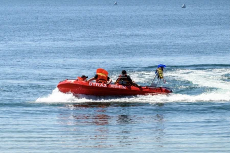 Zdjęcie przedstawia uczestników pikniku edukacyjnego nad Jeziorem Tarnobrzeskim