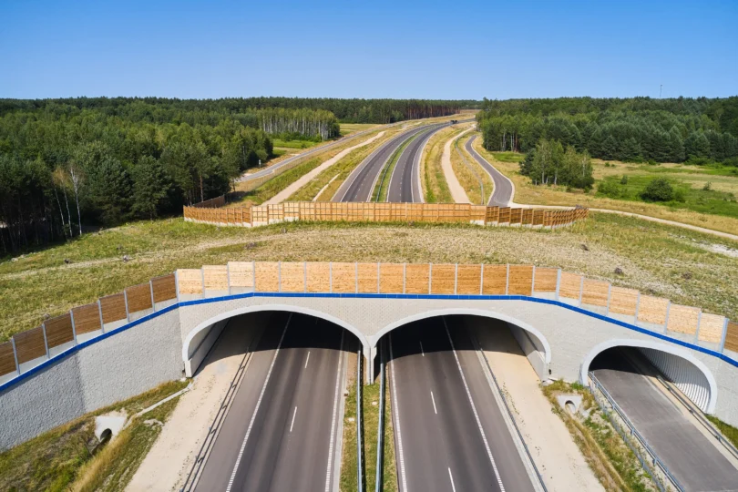 Przejście dla zwierząt nad drogą ekspresową S19.