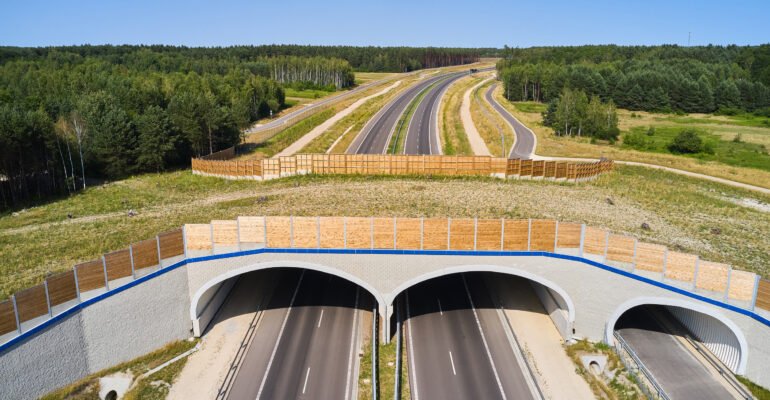 Przejście dla zwierząt nad drogą ekspresową S19.