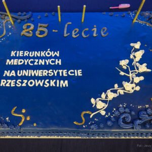 Zdjęcie przedstawia tort okolicznosciowy