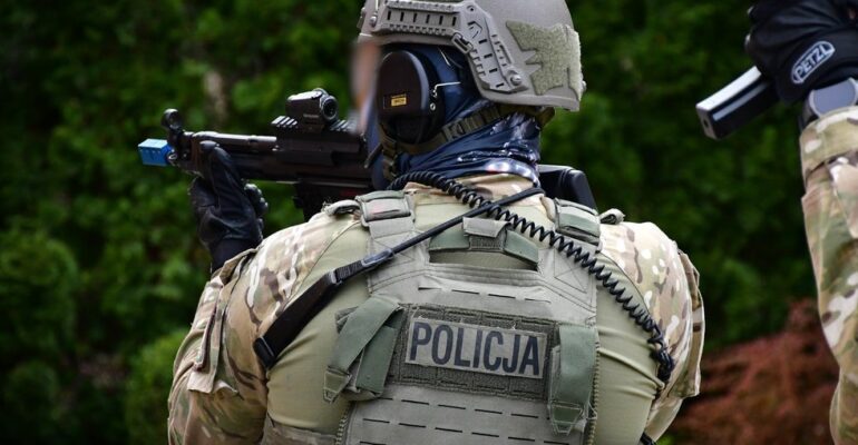 Zdjęcie przedstawia policjanta