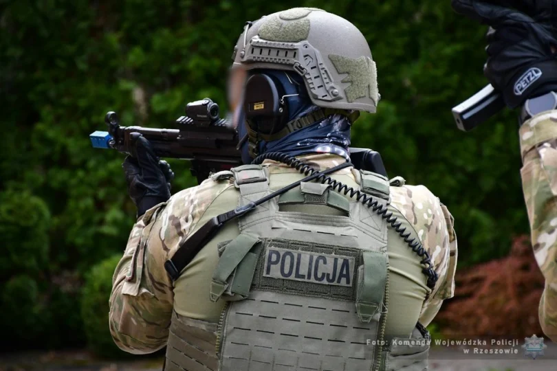 Zdjęcie przedstawia policjanta