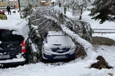 Podkarpaccy strażacy usuwają skutki intensywnych opadów śniegu w naszym regionie.