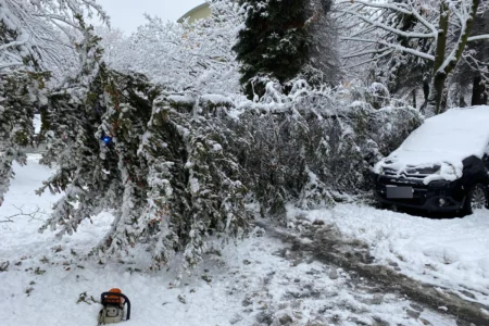 Podkarpaccy strażacy usuwają skutki intensywnych opadów śniegu w naszym regionie.