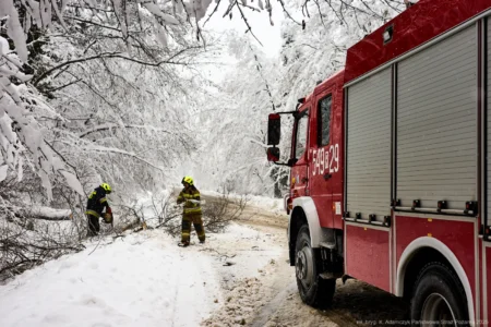 Podkarpaccy strażacy usuwają skutki intensywnych opadów śniegu w naszym regionie.