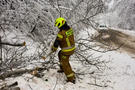 Podkarpaccy strażacy usuwają skutki intensywnych opadów śniegu w naszym regionie.