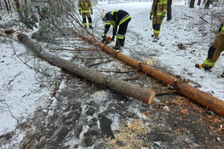 Podkarpaccy strażacy usuwają skutki intensywnych opadów śniegu w naszym regionie.