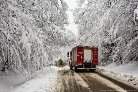 Podkarpaccy strażacy usuwają skutki intensywnych opadów śniegu w naszym regionie.