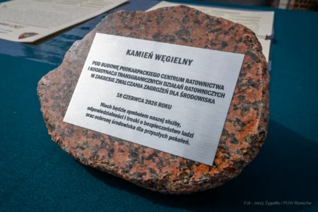Zdjęcie przedstawia kamień